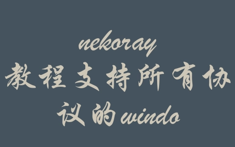 nekoray教程支持所有协议的windows翻墙软件-机场推荐与评测